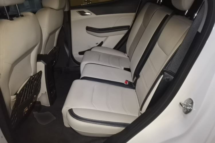 Used BYD Yuan Pro 2021 "Love for a Lifetime" Edition Left Rear Seat