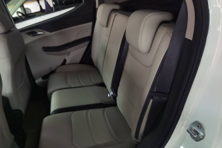 Used BYD Yuan Pro 2021 "Love for a Lifetime" Edition Left Rear Seat