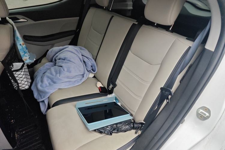 Used BYD Yuan Pro 2021 401 km Deluxe Version Left Rear Seat
