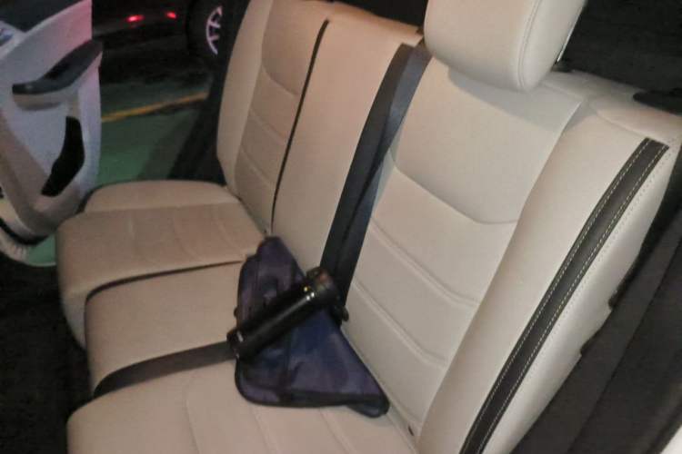 Used BYD Yuan Pro 2021 401 km Luxury Version Left Rear Seat