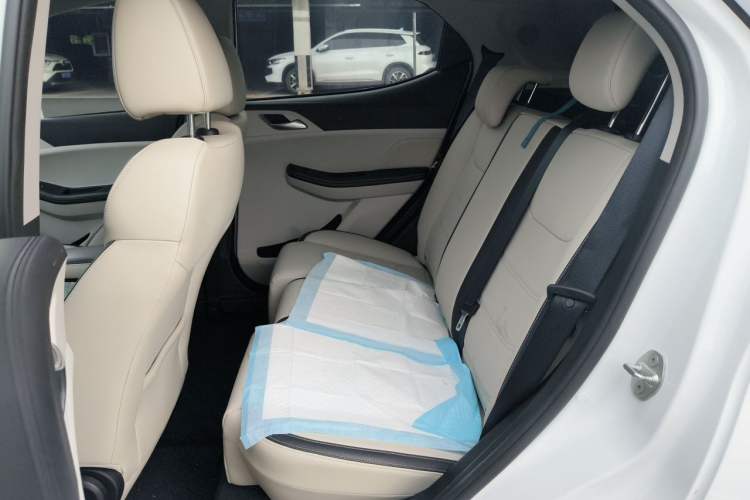 Used BYD Yuan Pro 2021 401 km Luxury Version Left Rear Seat