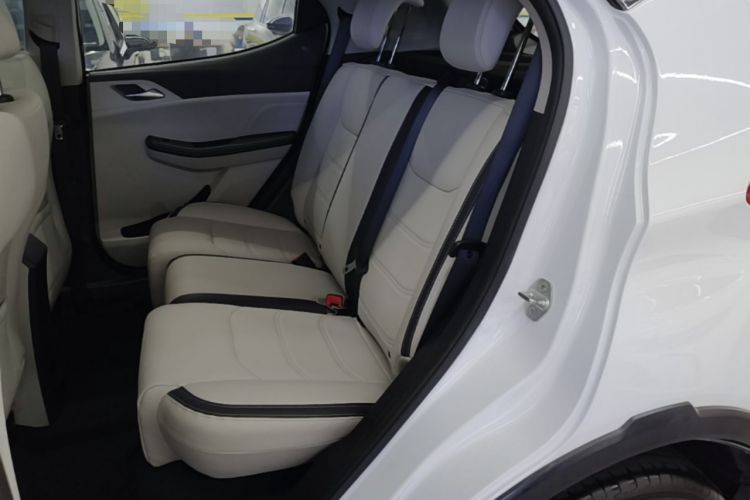 Used BYD Yuan Pro 2021 401 km Deluxe Version Left Rear Seat