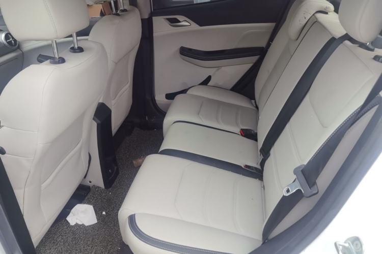 Used BYD Yuan Pro 2021 "Love for a Lifetime" Edition Left Rear Seat