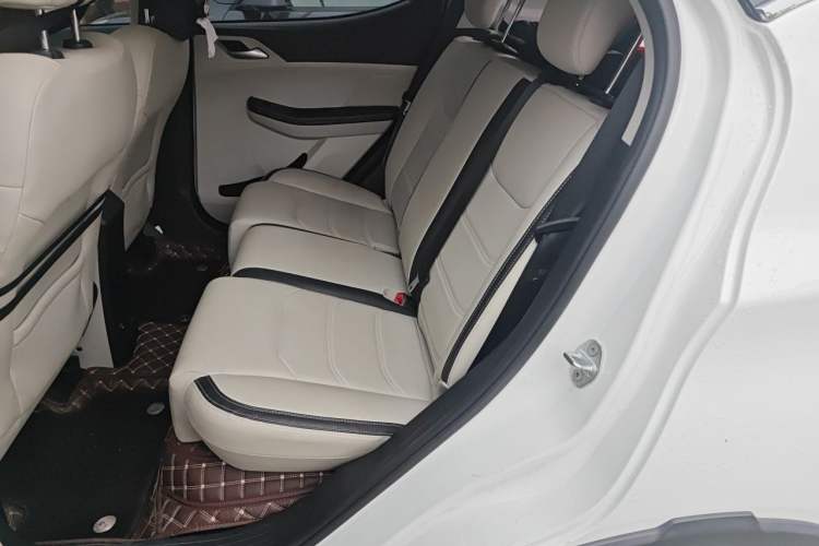 Used BYD Yuan Pro 2021 401 km Deluxe Version Left Rear Seat