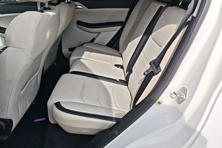 Used BYD Yuan Pro 2021 401 km Luxury Version Left Rear Seat