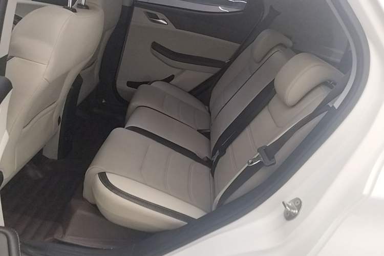 Used BYD Yuan Pro 2021 "Love for a Lifetime" Edition Left Rear Seat