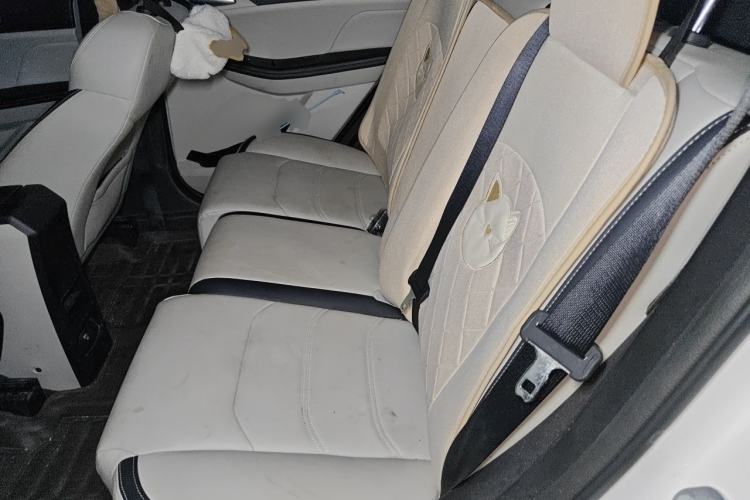 Used BYD Yuan Pro 2021 401 km Luxury Version Left Rear Seat