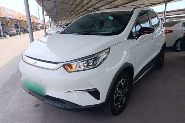 Used BYD Yuan Pro 2021 "Love for a Lifetime" Edition