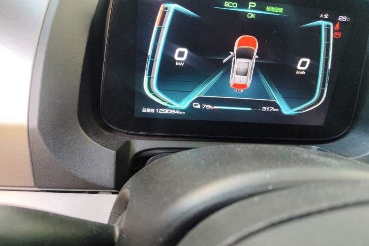 Used BYD Yuan Pro 2021 "Love for a Lifetime" Edition Odometer Close Up