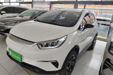 Used BYD Yuan Pro 2021 401 km Luxury Version