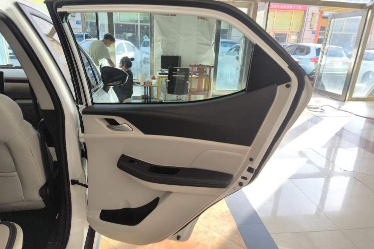 Used BYD Yuan Pro 2021 401 km Deluxe Version Right Rear Door Interior