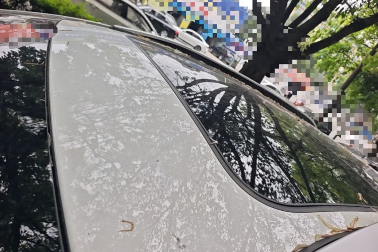 Used BYD Yuan Pro 2021 401 km Deluxe Version Roof