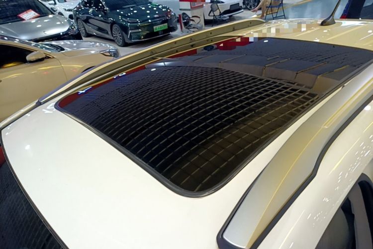 Used BYD Yuan Pro 2021 Lifetime Edition Roof