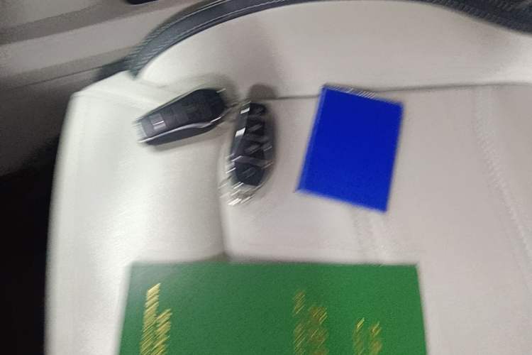 Used BYD Yuan Pro 2021 Lifetime Edition Vehicle Key