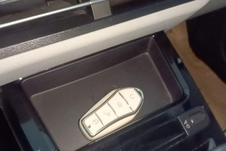 Used BYD Yuan Pro 2021 "Love for a Lifetime" Edition Vehicle Key