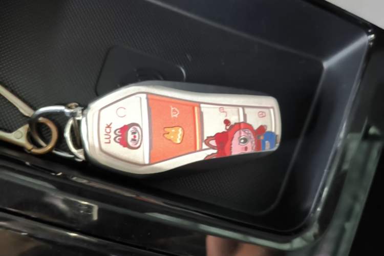 Used BYD Yuan Pro 2021 401 km Deluxe Version Vehicle Key