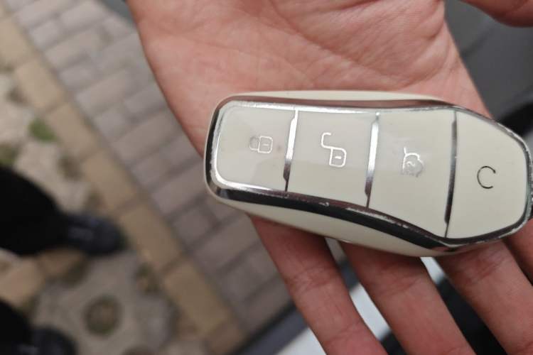 Used BYD Yuan Pro 2021 401 km Luxury Version Vehicle Key