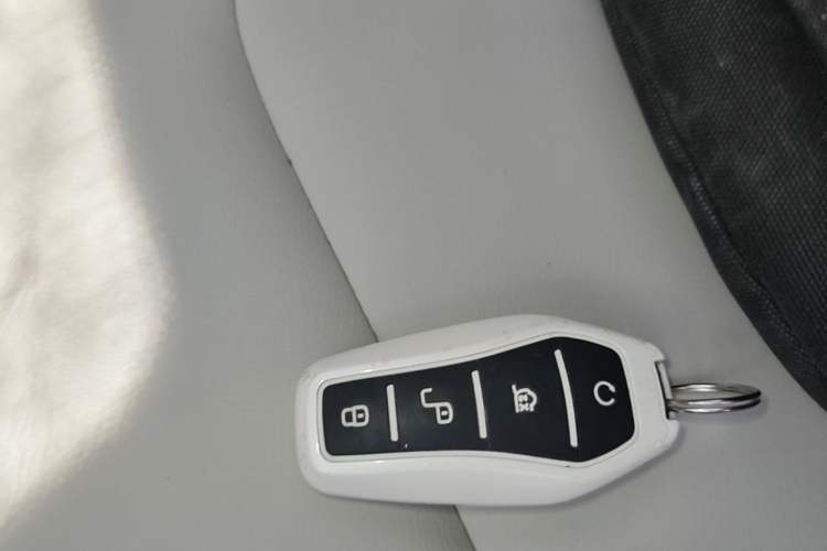 Used BYD Yuan Pro 2021 401 km Deluxe Version Vehicle Key