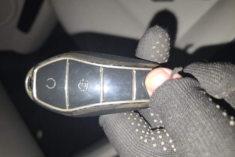 Used BYD Yuan Pro 2021 "Love for a Lifetime" Edition Vehicle Key