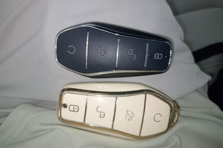 Used BYD Yuan Pro 2021 Lifetime Edition Vehicle Key