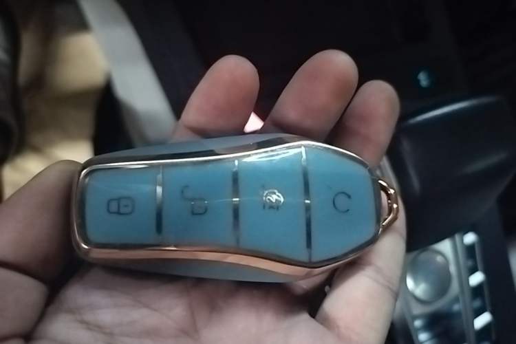 Used BYD Yuan Pro 2021 401 km Deluxe Version Vehicle Key