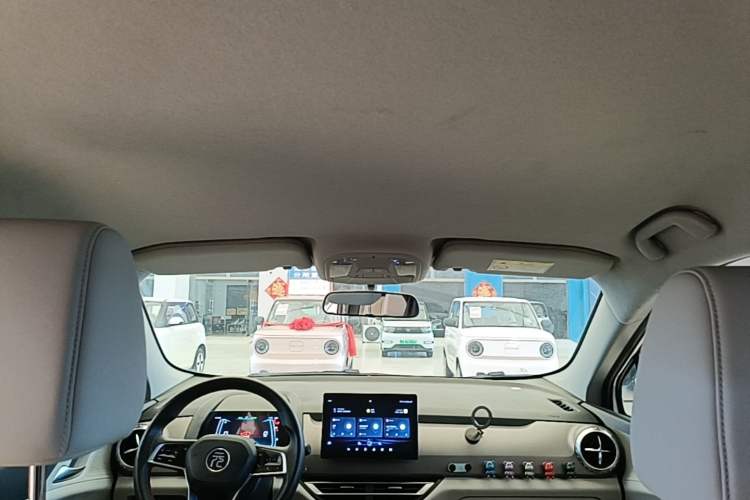 Used BYD Yuan Pro 2023 401KM Luxury Version Headliner
