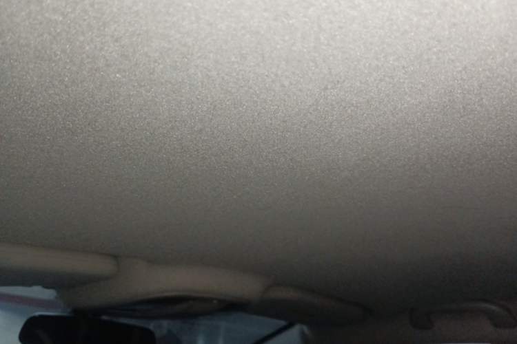 Used BYD Yuan Pro 2023 320KM Luxury Version Headliner