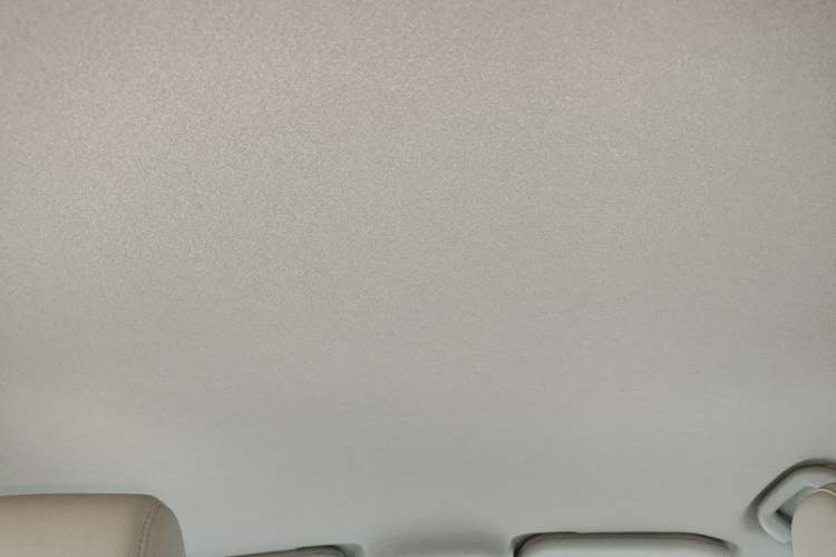 Used BYD Yuan Pro 2023 320KM Luxury Version Headliner