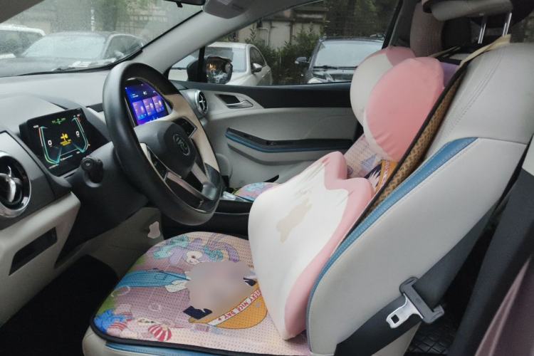 Used BYD Yuan Pro 2023 320KM Luxury Version Left Front Seat
