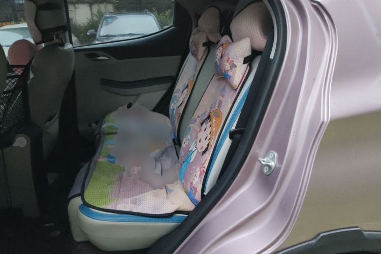 Used BYD Yuan Pro 2023 320KM Luxury Version Left Rear Seat