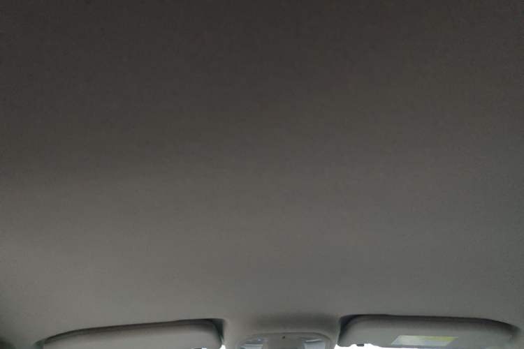 Used BYD Yuan Pro 2023 401KM Luxury Version Headliner
