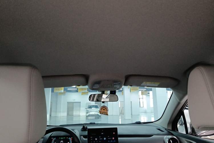 Used BYD Yuan Pro 2023 401KM Luxury Version Headliner