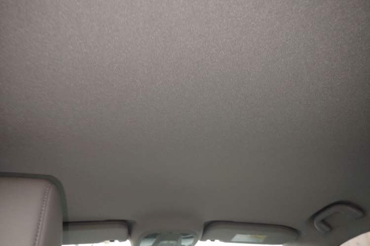 Used BYD Yuan Pro 2023 401KM Luxury Version Headliner