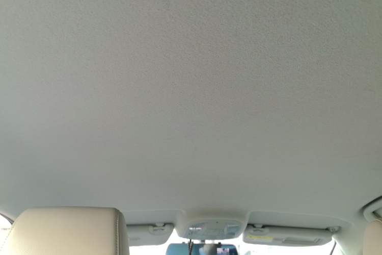 Used BYD Yuan Pro 2023 401KM Luxury Version Headliner
