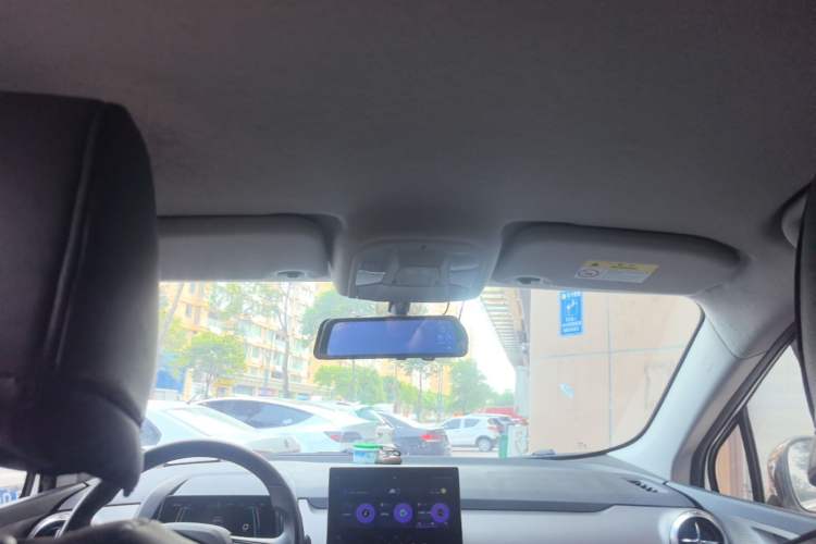 Used BYD Yuan Pro 2023 401KM Luxury Version Headliner