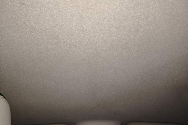 Used BYD Yuan Pro 2023 401KM Luxury Version Headliner