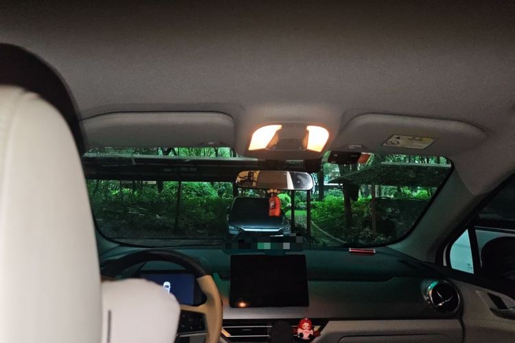 Used BYD Yuan Pro 2023 401KM Luxury Version Headliner