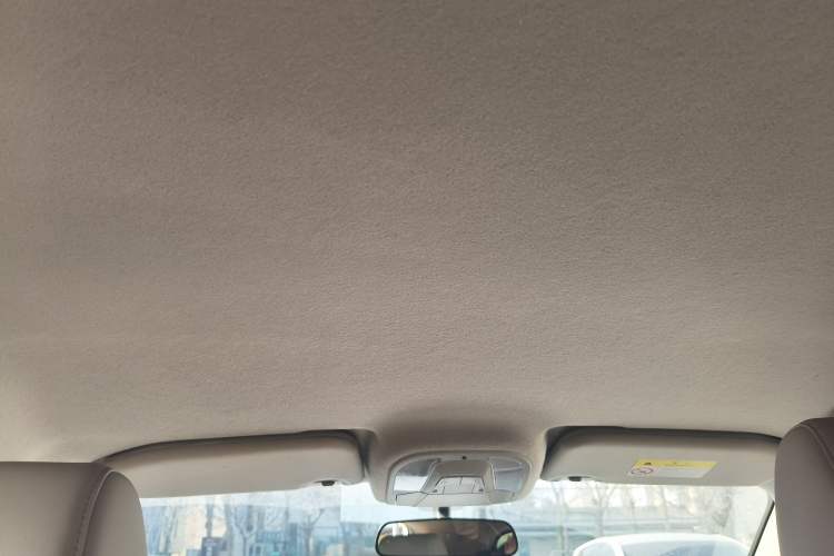 Used BYD Yuan Pro 2023 401KM Luxury Version Headliner