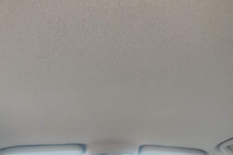 Used BYD Yuan Pro 2023 320KM Luxury Version Headliner
