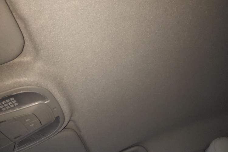 Used BYD Yuan Pro 2023 401 km Deluxe Version Headliner