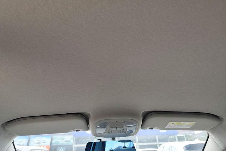 Used BYD Yuan Pro 2023 401KM Luxury Version Headliner