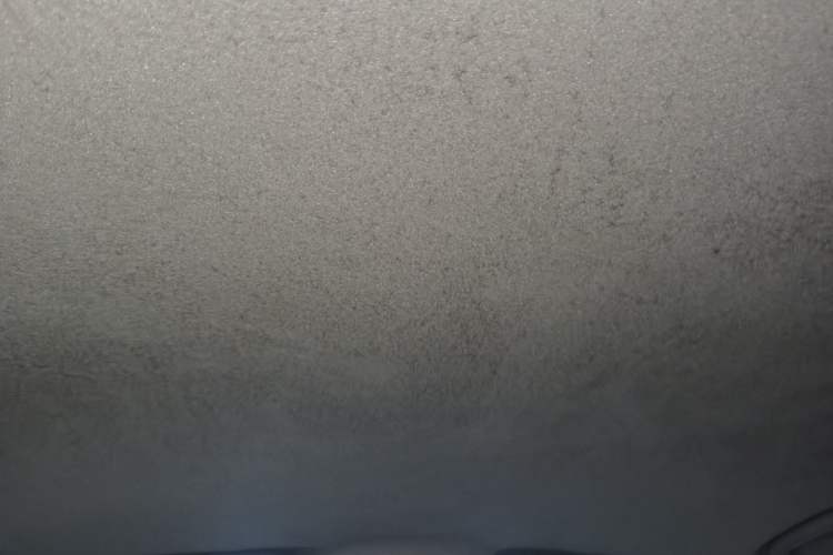 Used BYD Yuan Pro 2023 401KM Luxury Version Headliner