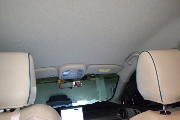 Used BYD Yuan Pro 2023 401KM Luxury Version Headliner