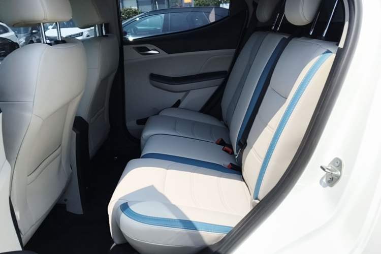 Used BYD Yuan Pro 2023 401KM Luxury Version Left Rear Seat