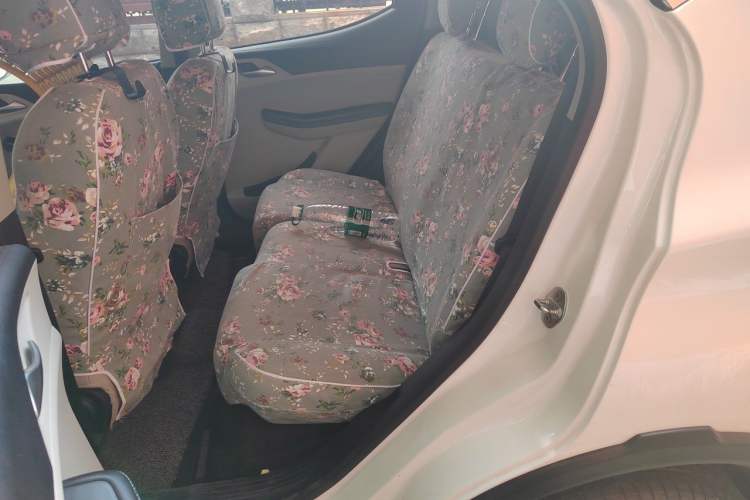 Used BYD Yuan Pro 2023 320KM Luxury Version Left Rear Seat