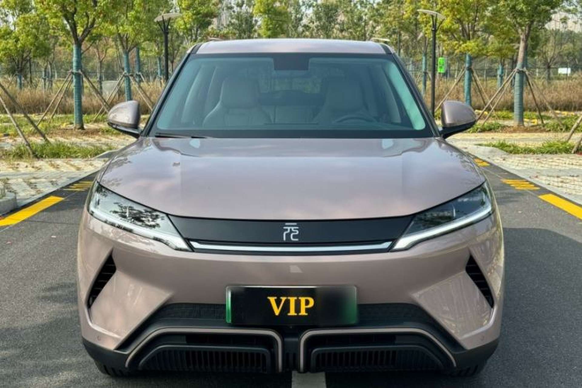 Used BYD Yuan UP 2024 401KM Leading Edition Exterior 1