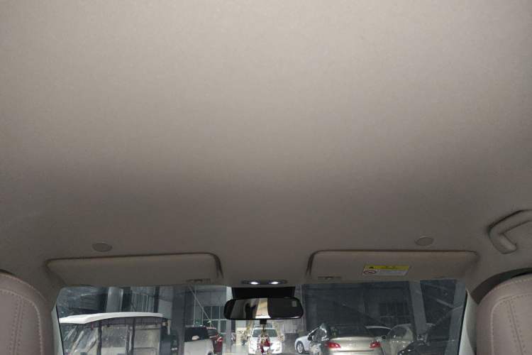 Used BYD Yuan UP 2024 401KM Leading Edition Headliner