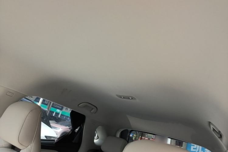Used BYD Yuan UP 2024 401 km Active Version Headliner