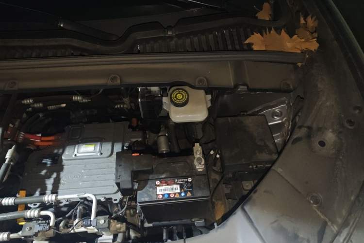 Used BYD Yuan UP 2024 401 km Active Version Engine Bay Left