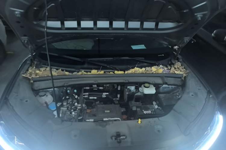 Used BYD Yuan UP 2024 401 km Active Version Engine Bay